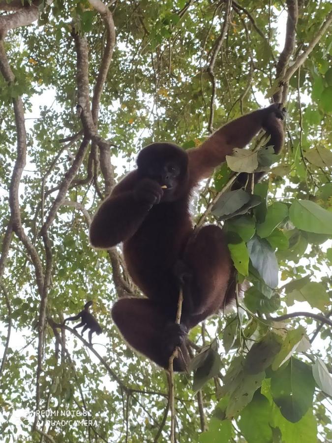 Jacamar Lodge Expeditions Iquitos Kültér fotó