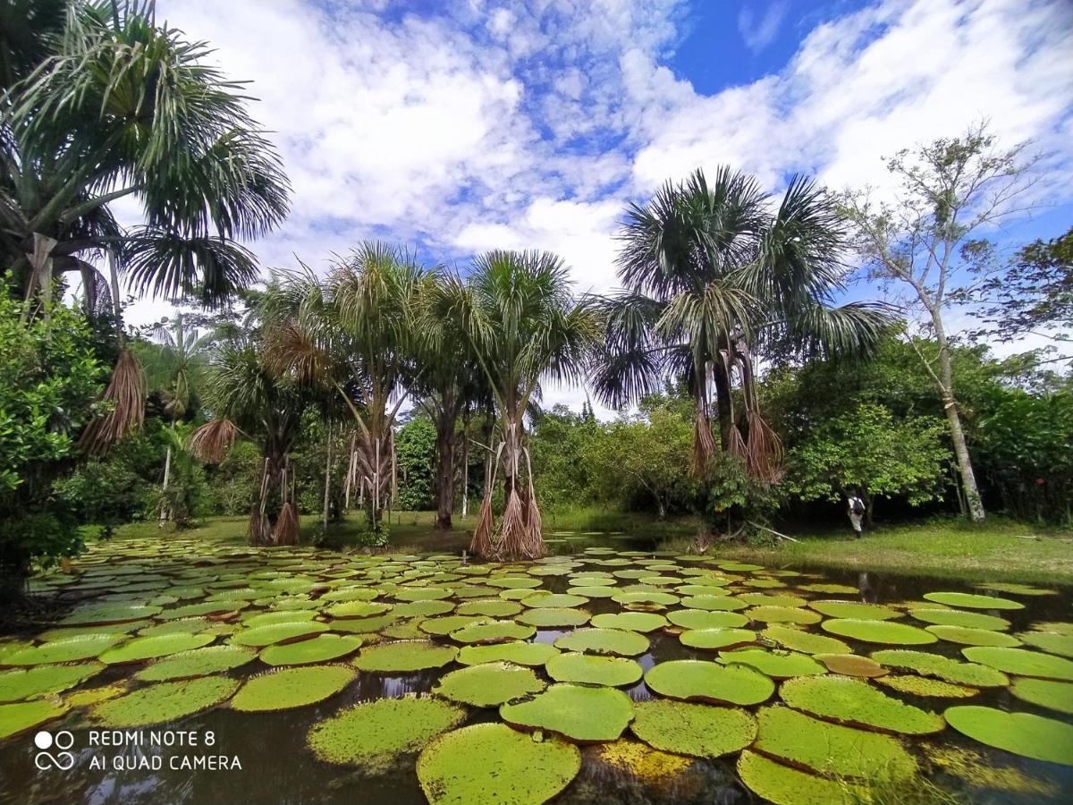 Jacamar Lodge Expeditions Iquitos Kültér fotó