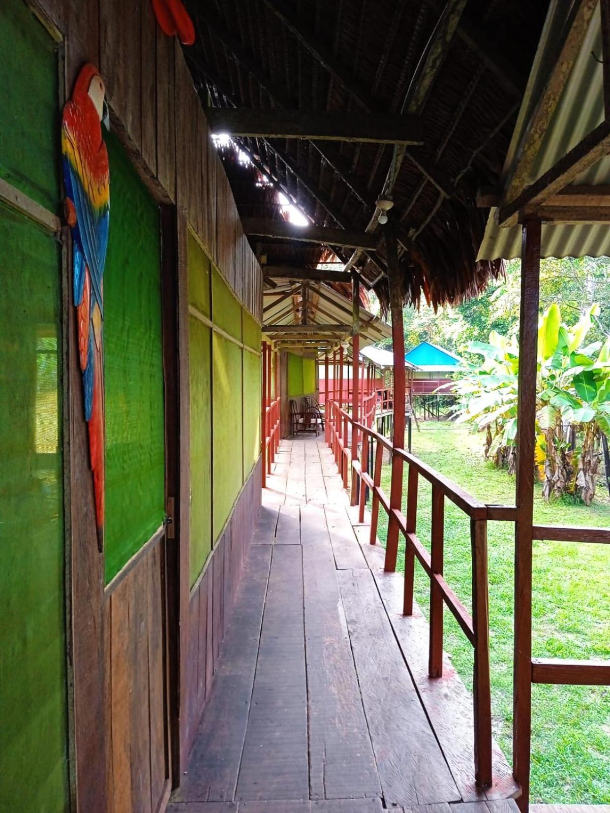 Jacamar Lodge Expeditions Iquitos Kültér fotó